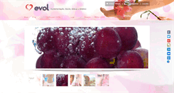 Desktop Screenshot of evolcare.com.br
